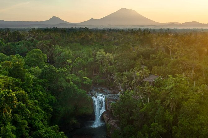Bali Private Tour - Best of Ubud - All Inclusive - Why the English-Speaking Driver Changes Everything