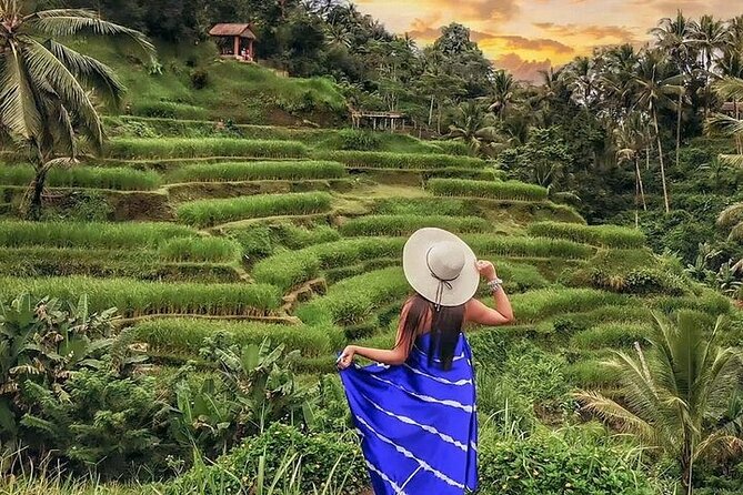 Bali Private Tour - Best of Ubud - All Inclusive - Price and Value: What You’re Paying For at $69