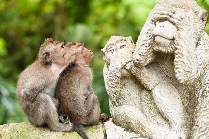 Bali Private Tour : Best Of Ubud & Volcano View With Jungle Swing - Key points that make this Bali private tour work