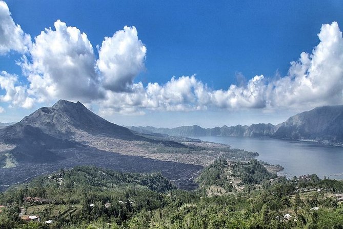 Bali Private Tour : Best Of Ubud & Volcano View With Jungle Swing - Tegalalang Rice Terrace: the valley views that earn the camera time
