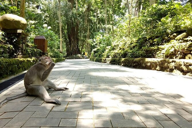 Bali Private Tour : Best Of Ubud & Volcano View With Jungle Swing - Tegenungan Waterfall and Sumampan: two styles of water stops