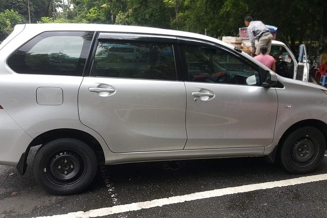 Bali Private Tour - Car with Driver - Who This Tour Fits Best (and Who Might Want Another Option)