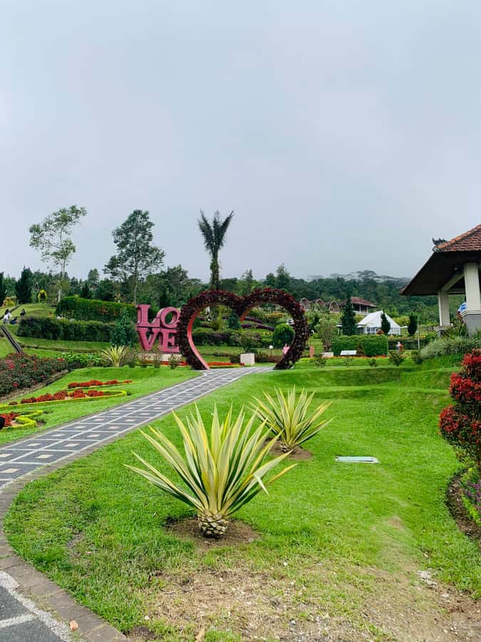 Bali: Private Tour of Jatiluwih, Ulun Danu, and Tanah Lot - Ulun Danu Bratan Temple: why Bedugul feels like a different world