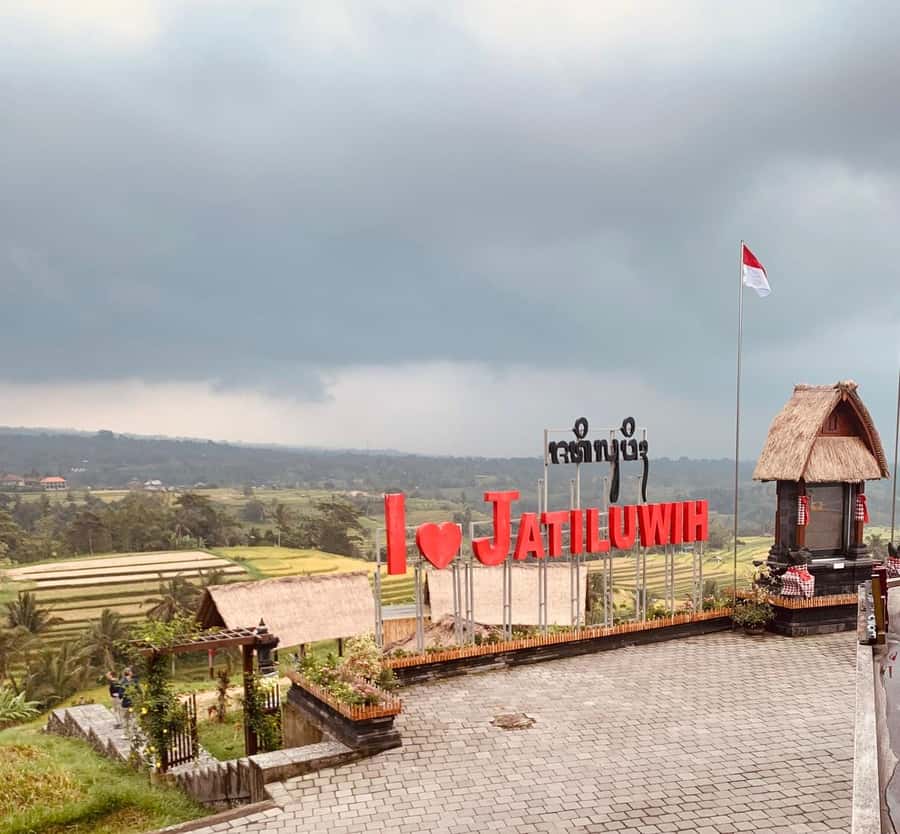 Bali: Private Tour of Jatiluwih, Ulun Danu, and Tanah Lot - Who this private tour fits best (and who should skip it)