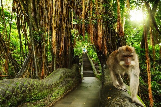 Bali Private Tour: Waterfall, Monkey forest and Tanah lot sunset - How This Private Nusa Dua Day Trip Works in Real Life