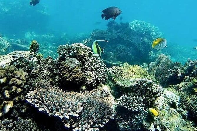 Bali Private Tour: Waterfall, Monkey forest and Tanah lot sunset - Batuan Temple: Another Hindu Stop That Adds Context