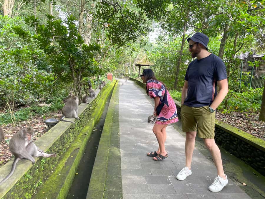 Bali: Private Ubud Highlights Tour with Customized Tour - Coffee plantation stops: more than a snack break