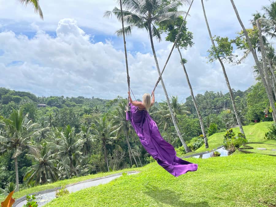 Bali: Private Ubud Highlights Tour with Customized Tour - The driver matters more than you think (and Bali proves it)