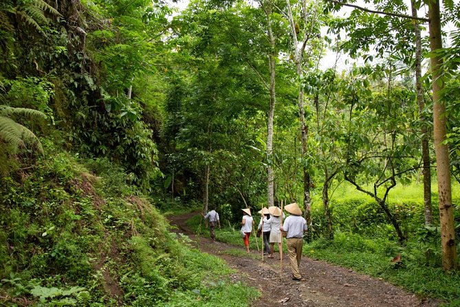 Bali Pure trek with spiritual journey, purification ceremony, local priest -Ubud - Key highlights you’ll actually feel
