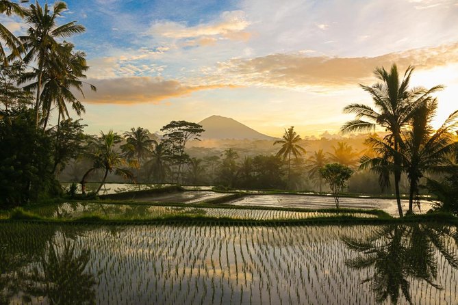 Bali Pure trek with spiritual journey, purification ceremony, local priest -Ubud - Kintamani Morning: Bamboo Forest, Volcano Views, and Coffee Tasting