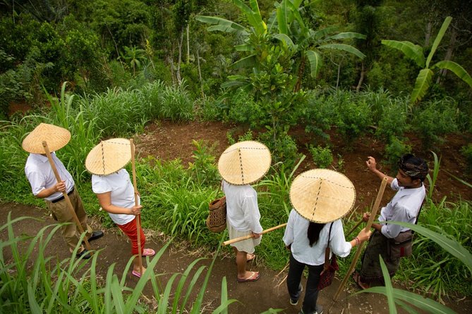 Bali Pure trek with spiritual journey, purification ceremony, local priest -Ubud - Who This Bali Pure Spiritual Journey Fits Best