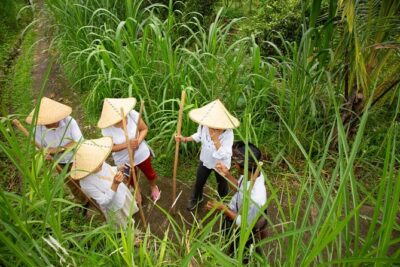 Bali Pure trek with spiritual journey, purification ceremony, local priest -Ubud - Tampaksiring Melukat Purification: River Temple Water and a Calm Reset