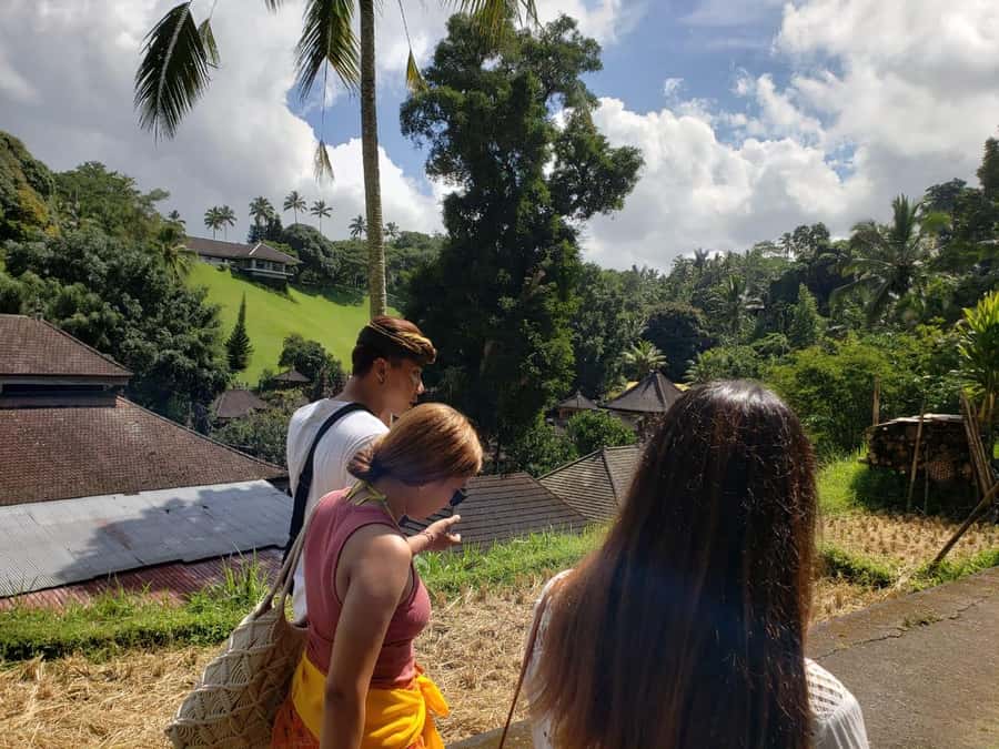 Bali: Purification at Tirta Empul Temple - Who should book this Tirta Empul purification tour (and who should skip)