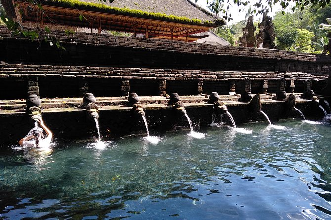 Bali Purification Ritual - Lunch and the ride back: how the tour keeps you comfortable