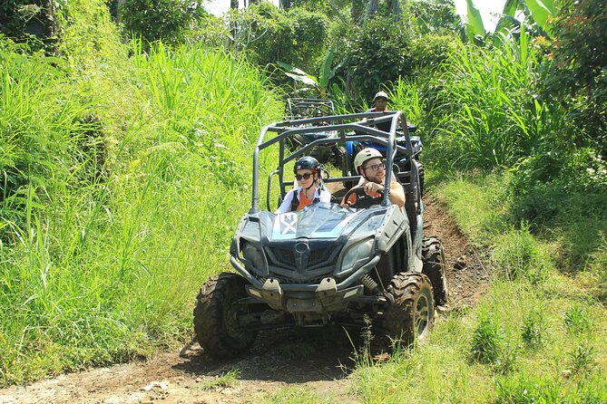 Bali Quad and Buggy Discovery Tour, Including Round-Trip Transfer - Quad vs Buggy: Pick the Right Ride for Your Group