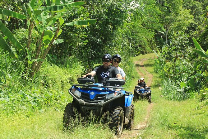 Bali Quad and Buggy Explorer Tour - ATV vs Buggy in Payangan: Picking the ride that fits your comfort