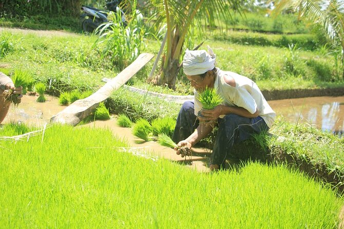 Bali Quad and Buggy Explorer Tour - What’s included after you get dusty: showers, lockers, snacks, and photo booths