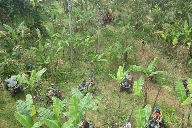 Bali Quad bike ATV passing through Waterfall, Cave & Rice fields - Photos and Souvenirs: Budget for the Memory Pack