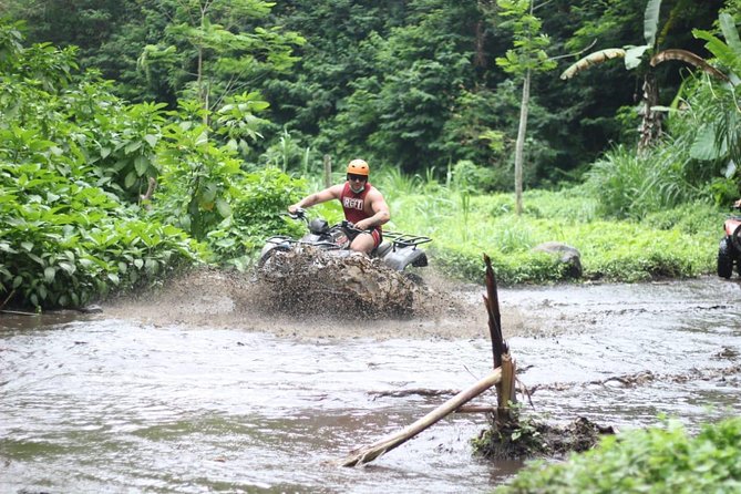 Bali Quad Bike ATV with Flying Fox - ATV + Flying Fox in Bali: what this day is really like