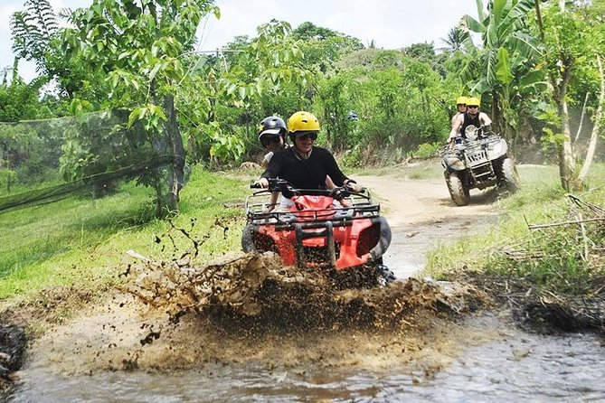 Bali Quad Bike Through Gorilla Cave - Monkey Forest and Waterfall - Should you book: my practical verdict