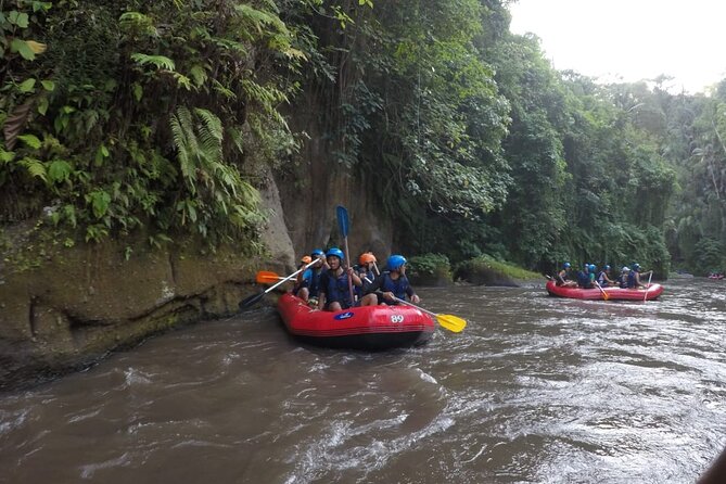 Bali Rafting - Ubud’s Ayung River: What Class II–III Really Means for You