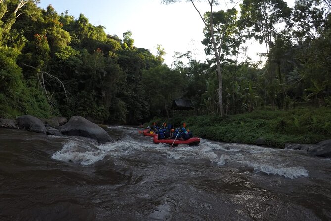 Bali Rafting - Lunch After the Rapids: Why It Helps More Than You’d Think