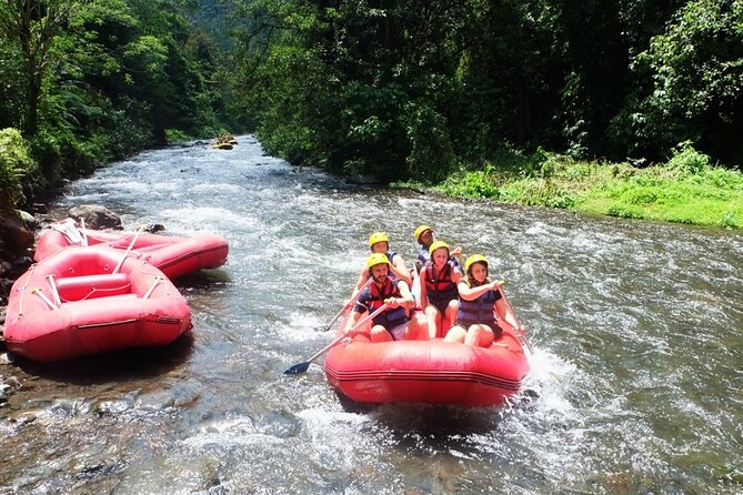 Bali Rafting Adventure + East Bali Tour - Price and Logistics: What $35 Covers vs Real On-Site Fees