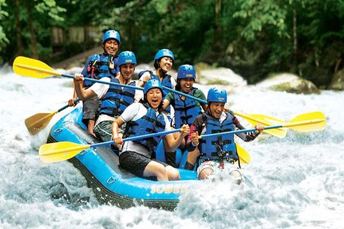 Bali Rafting and Private Combination Ubud Tour Packages - Ubud pickup that actually feels like a plan