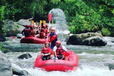 Bali Rafting Including Lunch and Transport - Ayung River Rafting: What You Can Expect on the Water