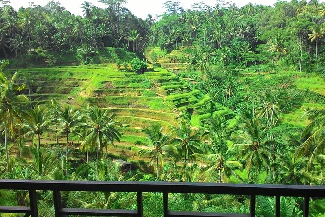 Bali Rafting + Rice Terrace + 1,5Hrs Balinese Massage + Lunch - Spice garden and Bali coffee plantation: see the process, not just the product