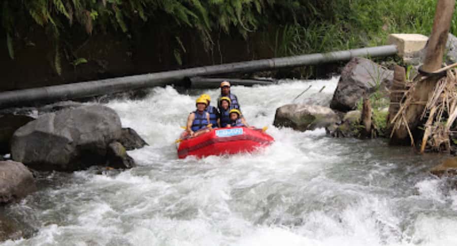 Bali Rafting: River Rafting with Zipline Down to the River - Key highlights you’ll actually care about