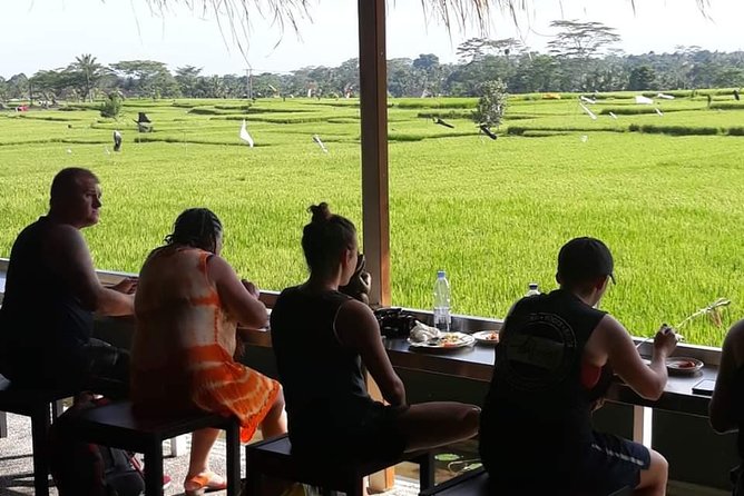 Bali Rafting - Ubud River Rafting With Lunch - The Ayung River run: grade II–III rapids and the thrill level you can expect