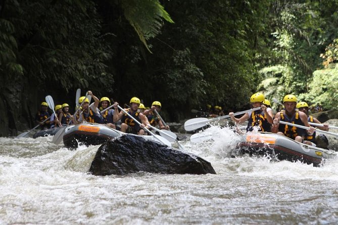 Bali Rafting Ubud with Lunch - Ayung River rafting in Ubud: fun grade II–III, not a white-knuckle fight