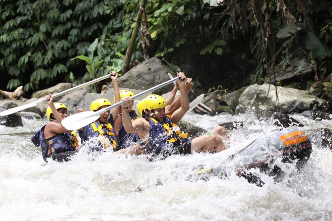 Bali Rafting Ubud with Lunch - The rafting run: paddle past cliffs, rice fields, forest, and waterfalls