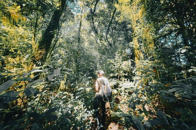 Bali Rainforest Hiking With Canoeing And Waterfall Adventure - Quick highlights