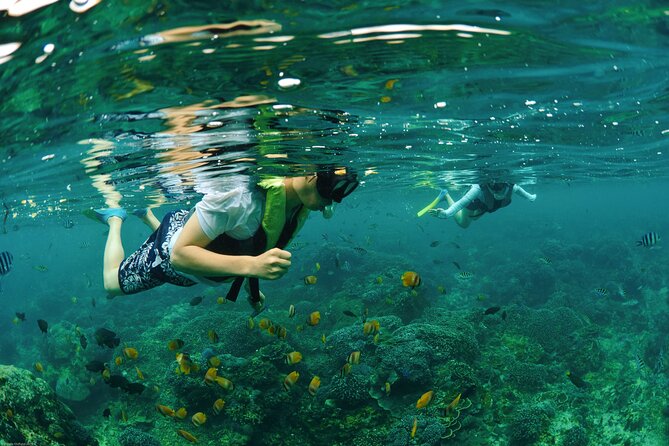 Bali Reef Cruise and Lembongan Island Day Trip - Price and Value at About $164 per Person