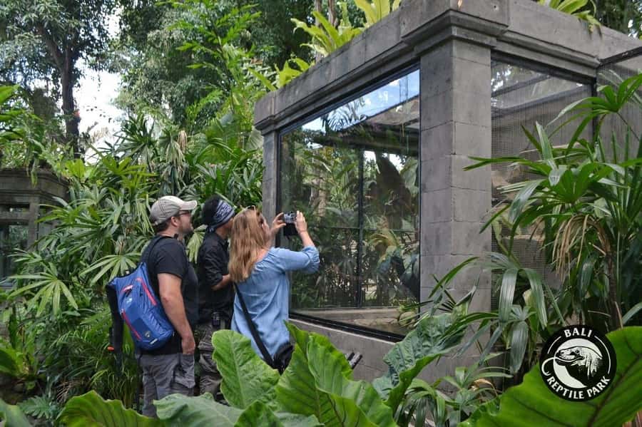 Bali Reptile Park 1-Day Admission Ticket - Entering the park at Bali Reptile Park: where the day really starts