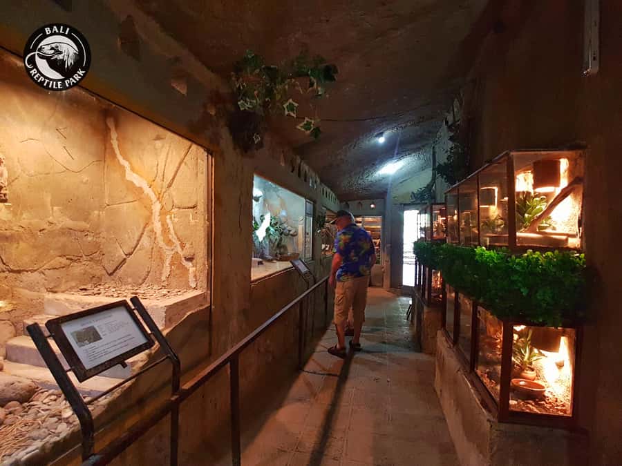 Bali Reptile Park 1-Day Admission Ticket - The reptile nursery: seeing life stages instead of just adults