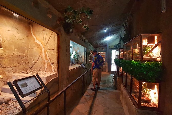 Bali Reptile Park Entrance Ticket - Value for money: is $15.27 a smart buy?