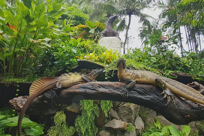Bali Reptile Park Entrance Ticket - Animal welfare concerns: what I’d watch for