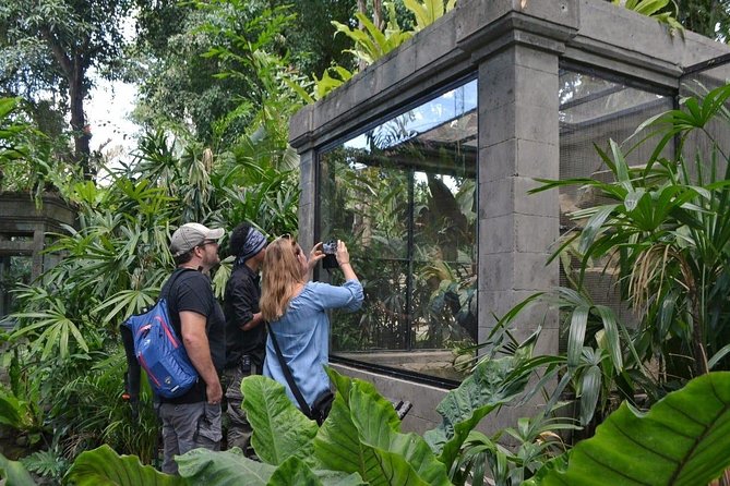 Bali Reptile Park Entrance Ticket - Who this ticket is best for