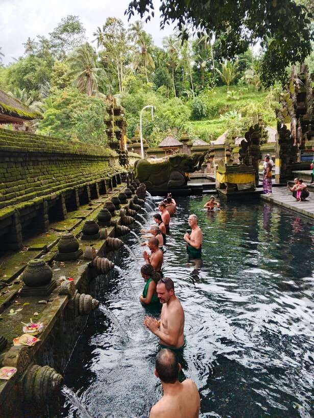 Bali: Rice terrace, Waterfall, and water Temple Day Tour - Tirta Empul Temple: what the Melukat purification actually asks of you