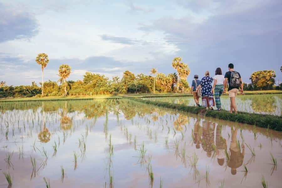 Bali: Rice Terraces Guided Hiking Experience - Key things to look forward to