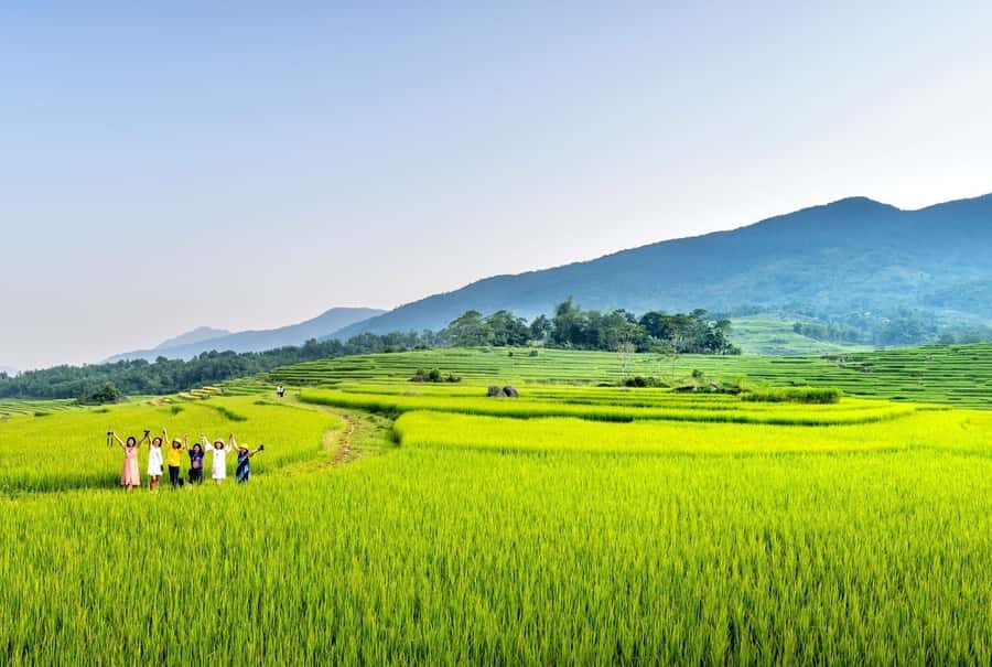 Bali: Rice Terraces Guided Hiking Experience - A Subak Temple Stop Farmers Use (Not Just a Tourist Photo Stop)