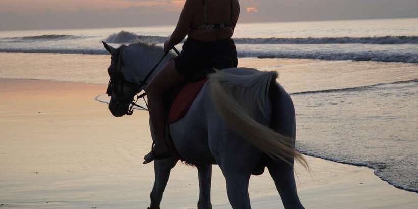 Bali: Romantic Seafood Dinner Jimbaran Beach Include Sunset - Key things to know before you go