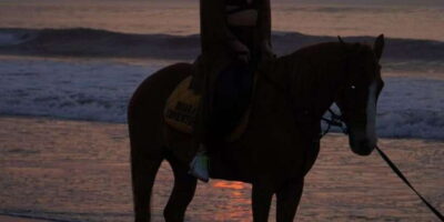 Bali: Romantic Seafood Dinner Jimbaran Beach Include Sunset - Seafood package A vs. package B: what you’re really buying