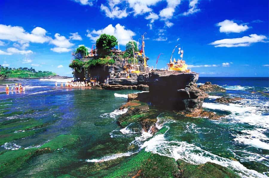 Bali: Royal Temple, Bedugul, and Tanah Lot Private Tour - The Driver Makes the Difference: Awan’s Temple and Shopping Help