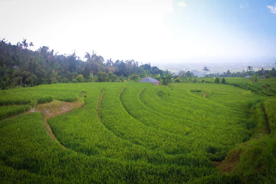 Bali: Sambangan Waterfalls Trekking, Sliding, & Jumping Trip - Blue Lagoon and Secret Garden: Canyons, Natural Pools, and a Sanity Check