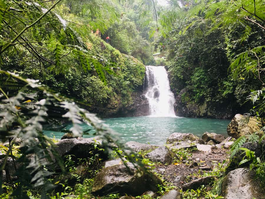 Bali: Sambangan Waterfalls Trekking, Sliding, & Jumping Trip - Aling-Aling Waterfall: The Choose-Your-Own-Adrenaline Moment