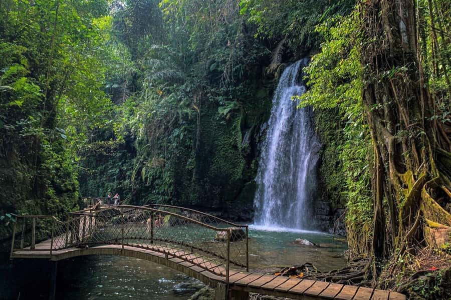 BALI :Sanctuary Monkey forest, rice terrace Water temple - Hotel pickup, small-group timing, and how the day flows
